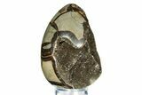 Septarian Dragon Egg Geode - Sparkly Black Crystals #308818-2